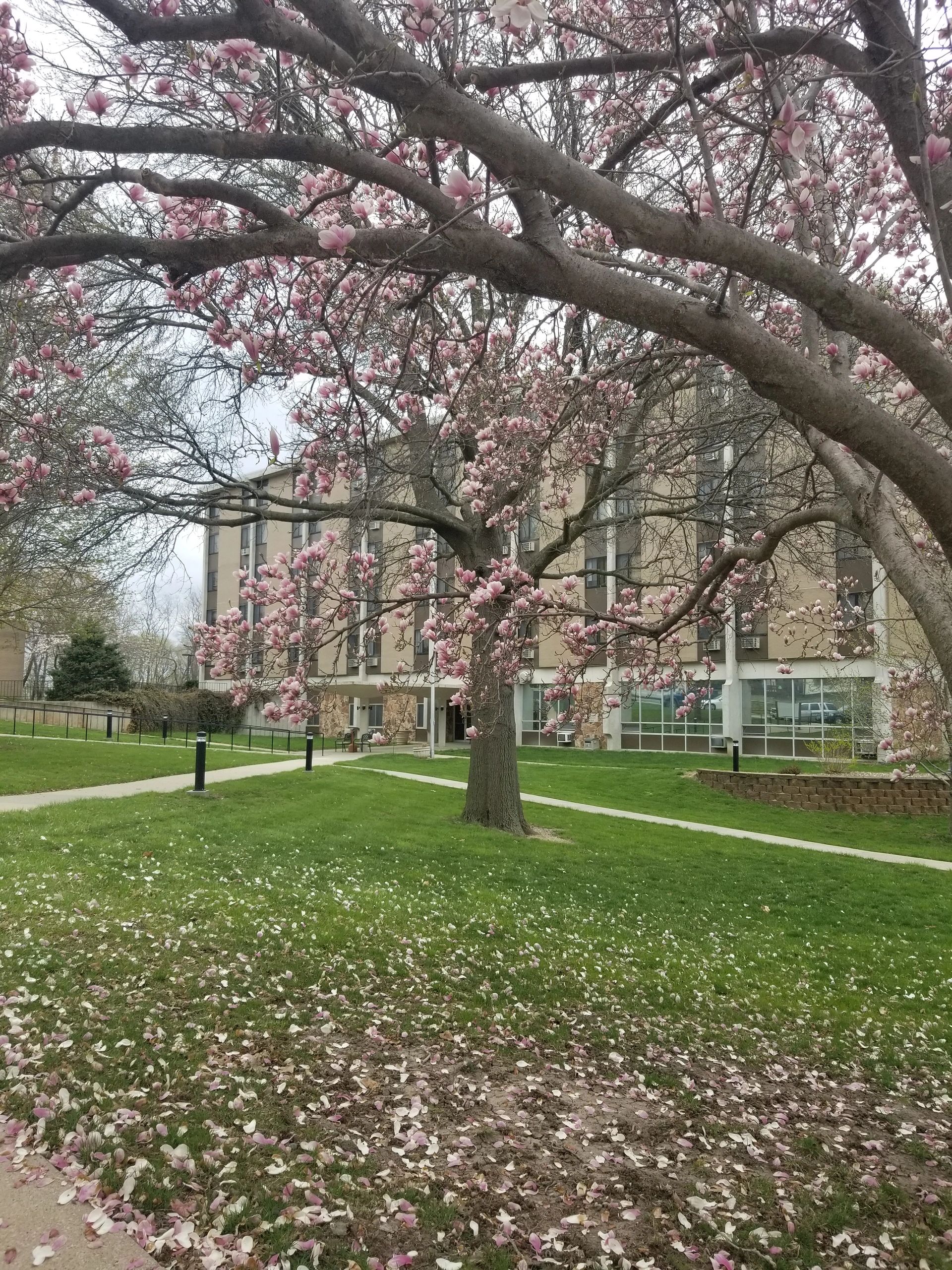 Affortable Housing Nebraska City Housing Authority